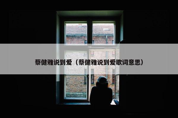 蔡健雅说到爱（蔡健雅说到爱歌词意思）