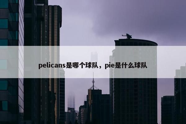 pelicans是哪个球队，pie是什么球队