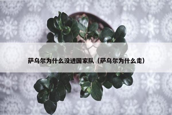 萨乌尔为什么没进国家队（萨乌尔为什么走）