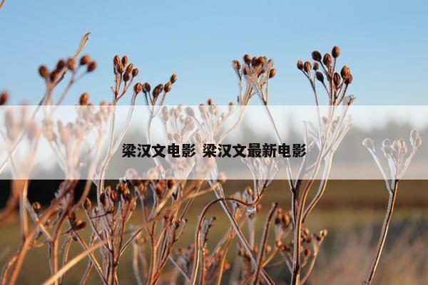 梁汉文电影 梁汉文最新电影