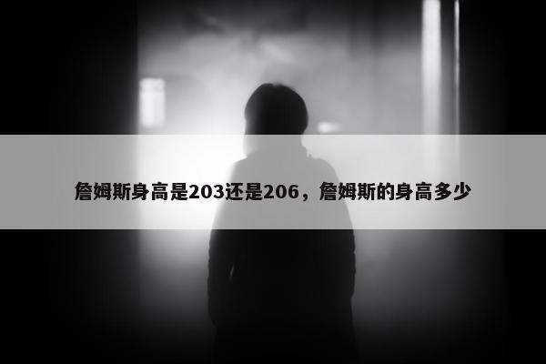 詹姆斯身高是203还是206，詹姆斯的身高多少