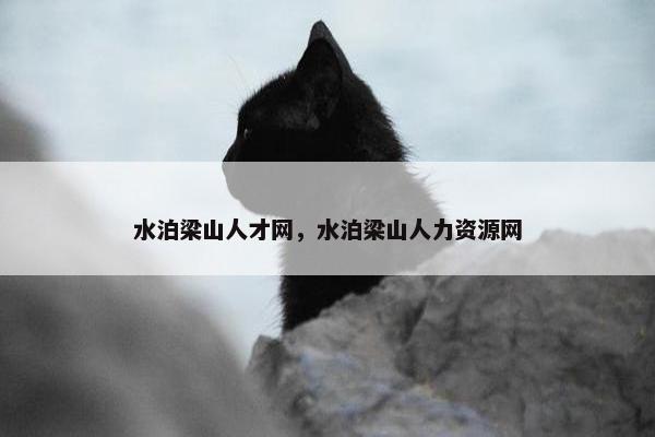 水泊梁山人才网，水泊梁山人力资源网