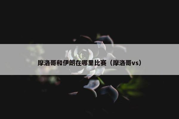 摩洛哥和伊朗在哪里比赛（摩洛哥vs）