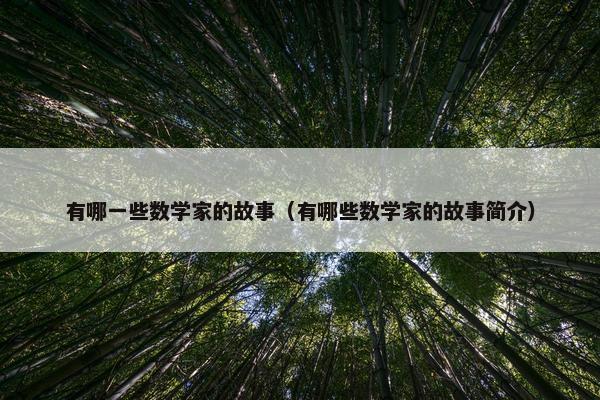 有哪一些数学家的故事（有哪些数学家的故事简介）