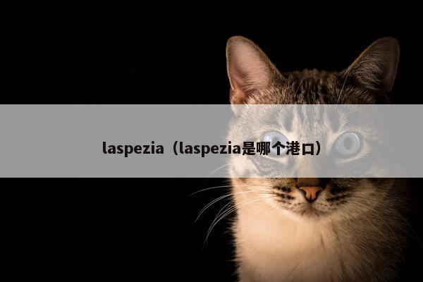 laspezia（laspezia是哪个港口）