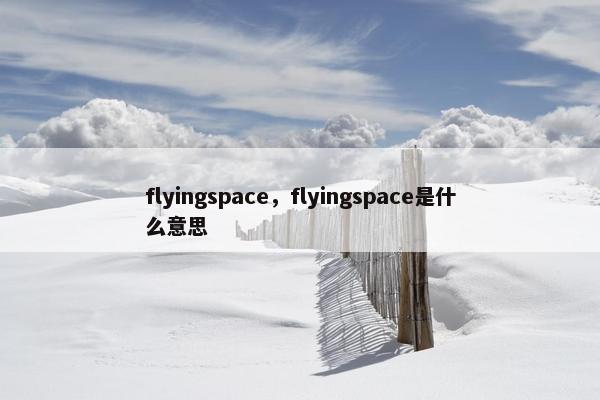 flyingspace，flyingspace是什么意思