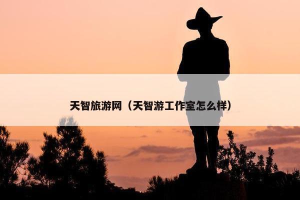 天智旅游网（天智游工作室怎么样）