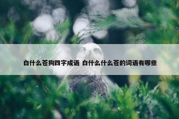 白什么苍狗四字成语 白什么什么苍的词语有哪些