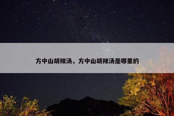 方中山胡辣汤，方中山胡辣汤是哪里的