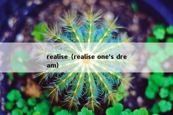 realise（realise one's dream）