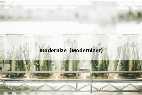 modernize（Modernizer）