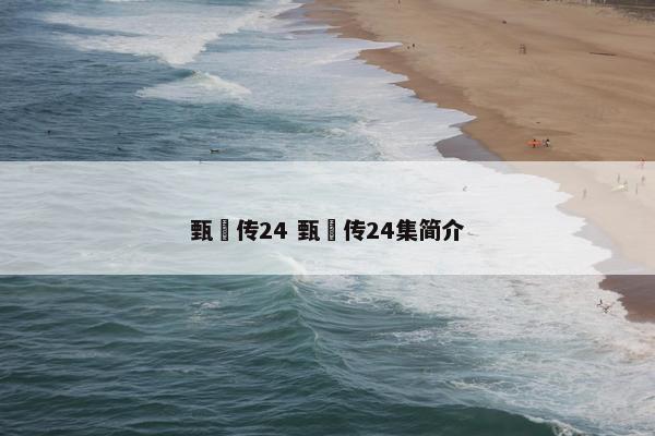 甄嬛传24 甄嬛传24集简介