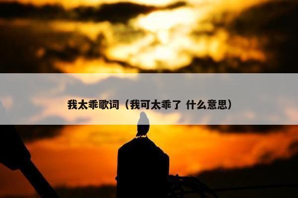 我太乖歌词（我可太乖了 什么意思）