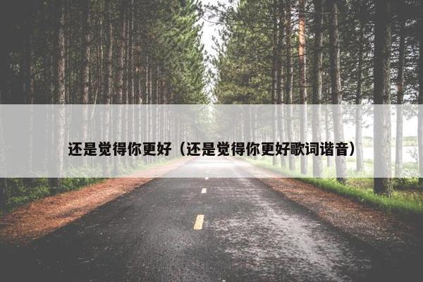 还是觉得你更好（还是觉得你更好歌词谐音）