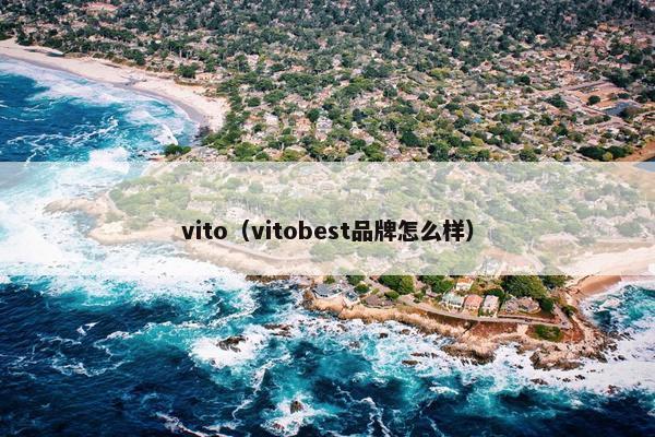 vito（vitobest品牌怎么样）