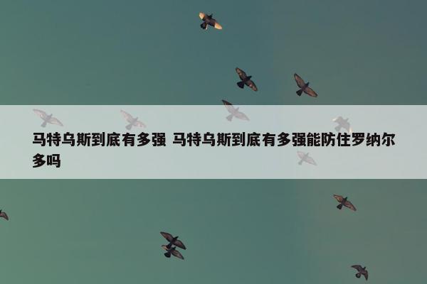 马特乌斯到底有多强 马特乌斯到底有多强能防住罗纳尔多吗