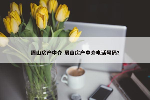 眉山房产中介 眉山房产中介电话号码?