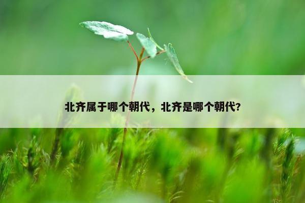 北齐属于哪个朝代，北齐是哪个朝代?