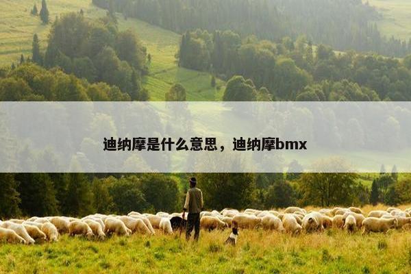 迪纳摩是什么意思，迪纳摩bmx