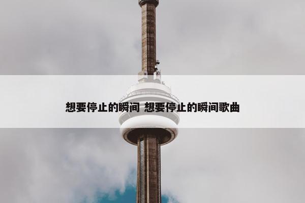 想要停止的瞬间 想要停止的瞬间歌曲