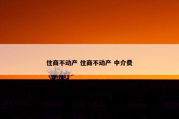 住商不动产 住商不动产 中介费