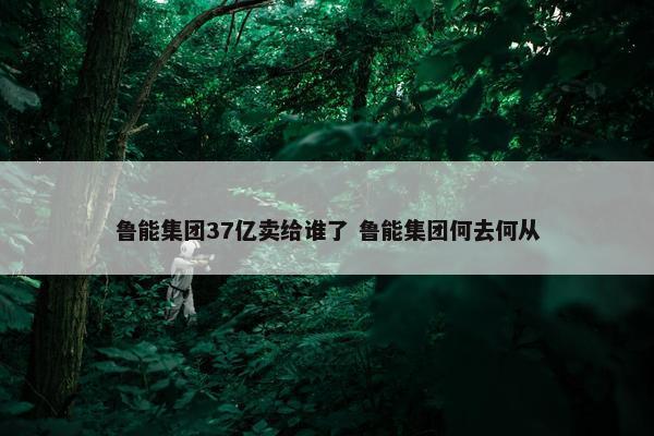 鲁能集团37亿卖给谁了 鲁能集团何去何从