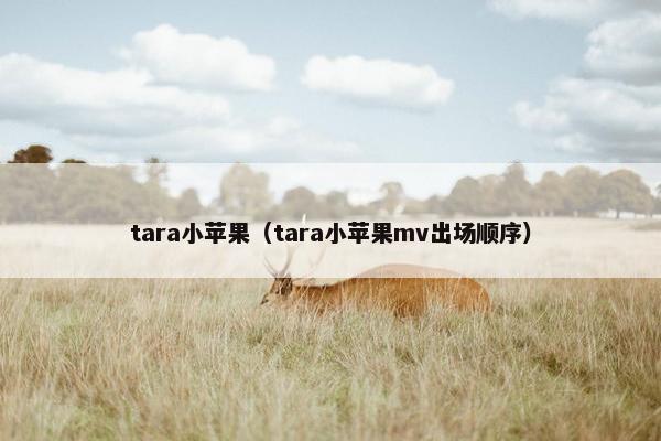 tara小苹果（tara小苹果mv出场顺序）