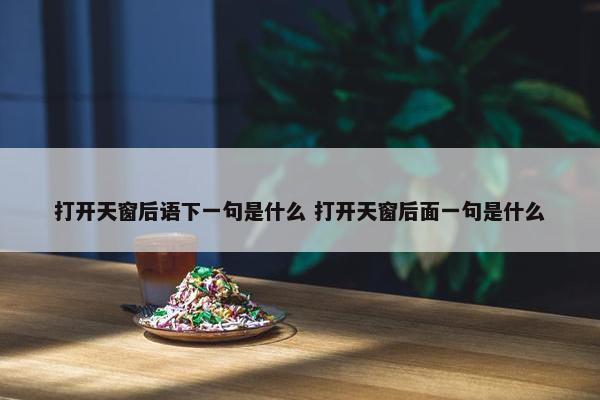 打开天窗后语下一句是什么 打开天窗后面一句是什么