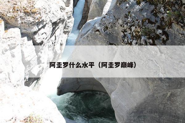 阿圭罗什么水平（阿圭罗巅峰）