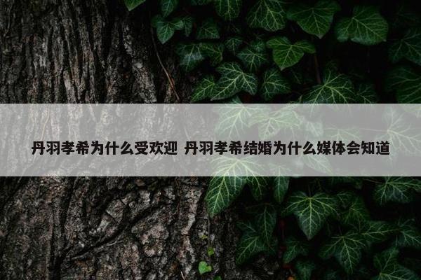 丹羽孝希为什么受欢迎 丹羽孝希结婚为什么媒体会知道