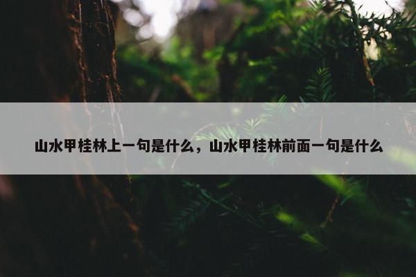 山水甲桂林上一句是什么，山水甲桂林前面一句是什么