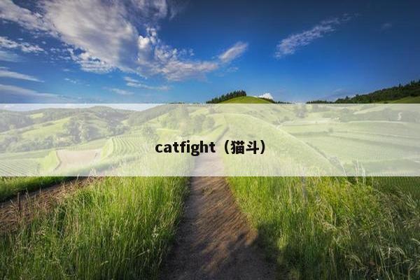 catfight（猫斗）