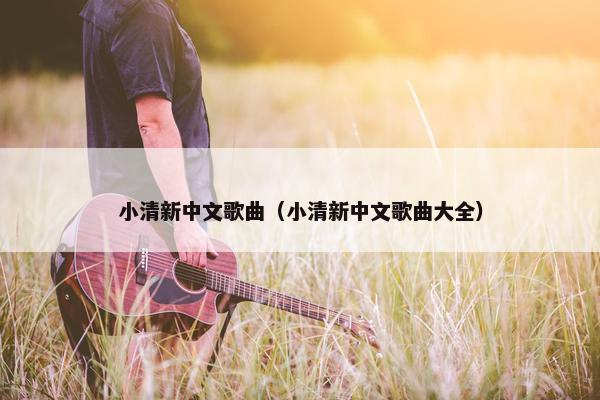 小清新中文歌曲（小清新中文歌曲大全）