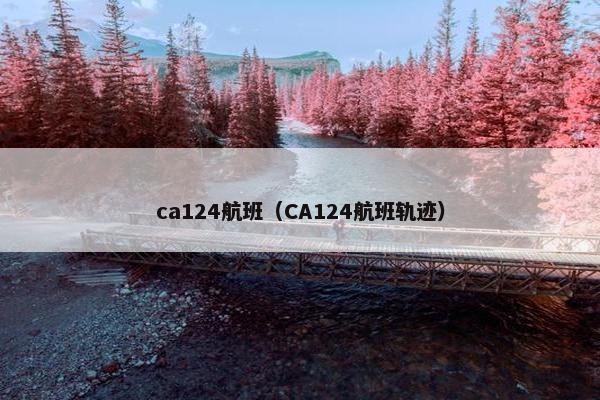 ca124航班（CA124航班轨迹）