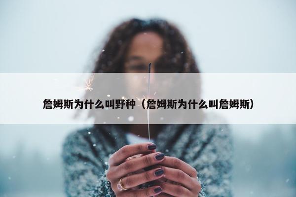 詹姆斯为什么叫野种（詹姆斯为什么叫詹姆斯）