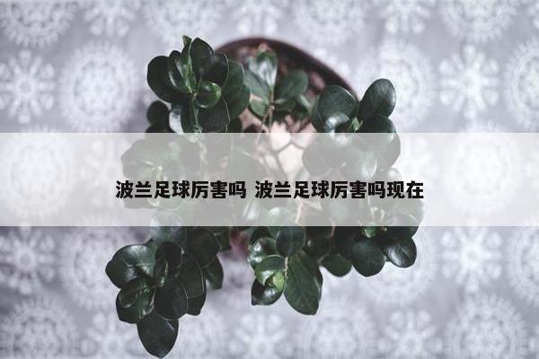 波兰足球厉害吗 波兰足球厉害吗现在