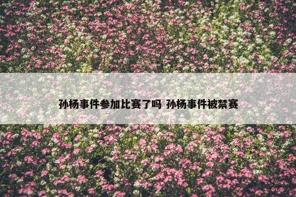 孙杨事件参加比赛了吗 孙杨事件被禁赛