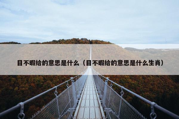 目不暇给的意思是什么（目不暇给的意思是什么生肖）