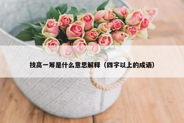 技高一筹是什么意思解释（四字以上的成语）