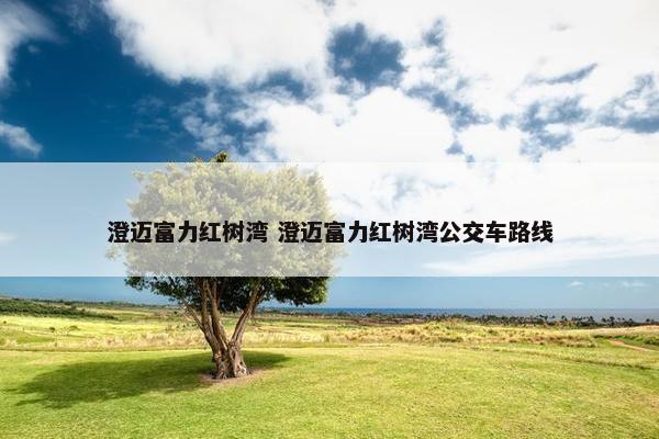 澄迈富力红树湾 澄迈富力红树湾公交车路线