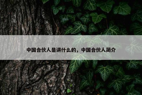 中国合伙人是讲什么的，中国合伙人简介