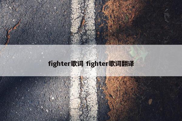 fighter歌词 fighter歌词翻译