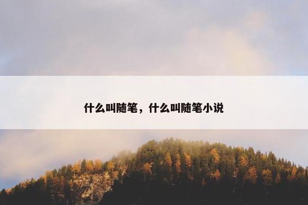 什么叫随笔，什么叫随笔小说