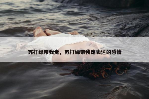 苏打绿带我走，苏打绿带我走表达的感情