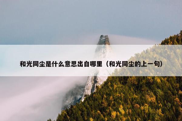 和光同尘是什么意思出自哪里（和光同尘的上一句）