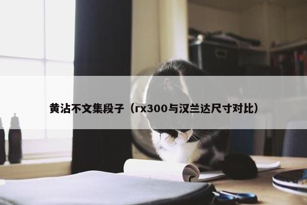 黄沾不文集段子（rx300与汉兰达尺寸对比）