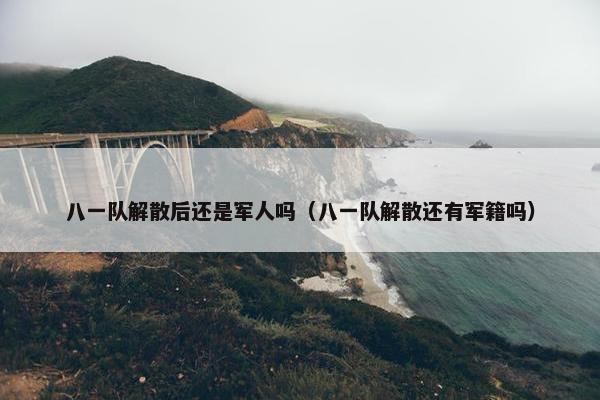 八一队解散后还是军人吗（八一队解散还有军籍吗）