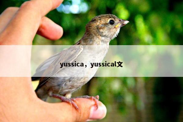 yussica，yussical文