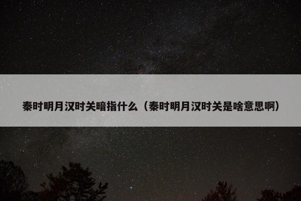 秦时明月汉时关暗指什么（秦时明月汉时关是啥意思啊）