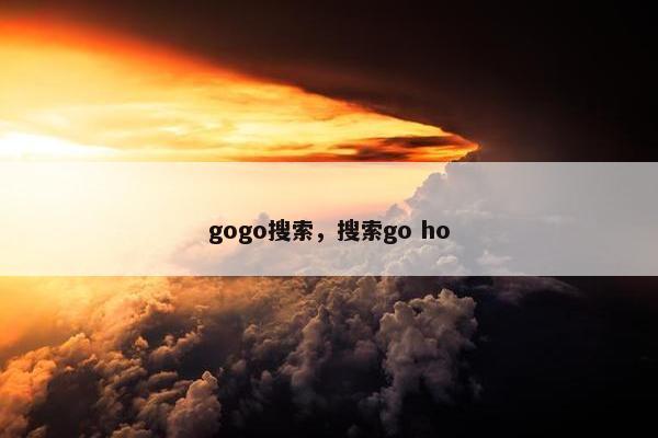 gogo搜索，搜索go ho